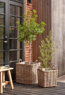 Arles kurve, grå - sæt med 2 firkantede opbevaringskurve