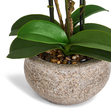 Kunstig Orkidé Hvid H42 cm - Naturtro med Betonpotte Ø25 cm
