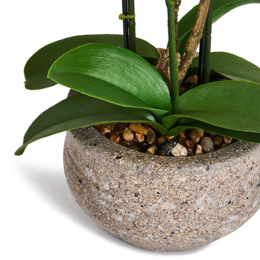 Kunstig Orkidé Gul/Rød H42 cm - Naturtro med Betonpotte Ø25 cm