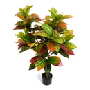 Kroton plante - Kunstig, H:75 cm