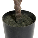 Kroton plante - Kunstig, H:75 cm