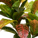 Kroton plante - Kunstig, H:75 cm