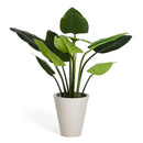 Philodendron plante - Kunstig, H:125 cm