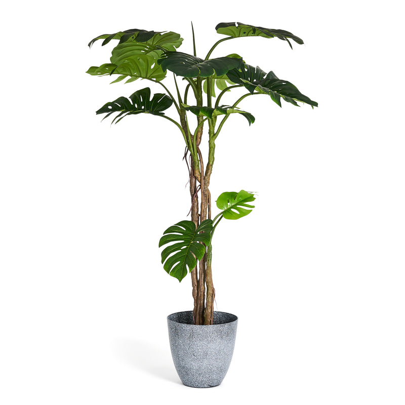 Monstera - Kunstig plante, H:180 cm