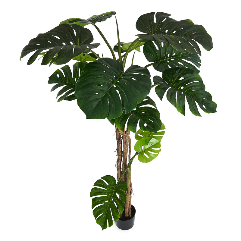 Monstera - Kunstig plante, H:180 cm