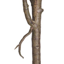 Figenblads træ - Kunstig, H:152 cm