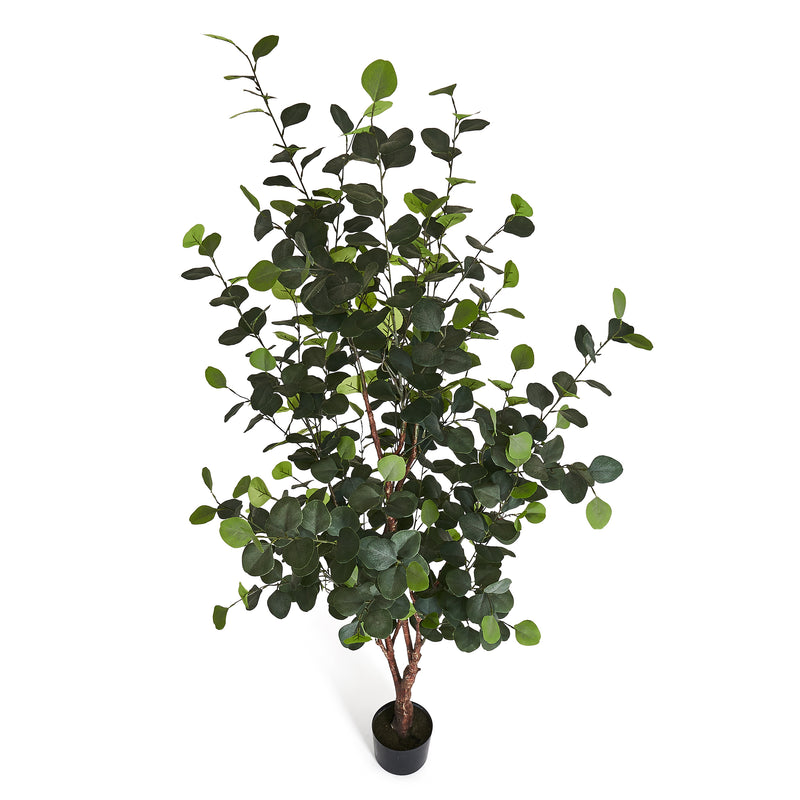 Eucalyptustræ - Kunstig, H:180 cm