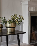 Nordal - ALIMIAL urtepotte - gylden finish,Ø31cm,H:30cm