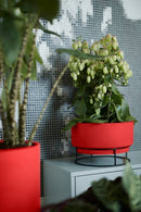 Elho - B.for Studio Bowl Urtepotte, Ø30cm,H: 19cm, rød