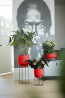 Elho - B.for studio, Plantestativ, Ø30cm,H69cm, Rød