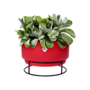 Elho - B.for Studio Bowl Urtepotte, Ø30cm,H: 19cm, rød