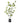Bloomingville - Palmatum Plante, Grøn, Kunstige Blomster - H160 cm, pot Ø17x15 cm