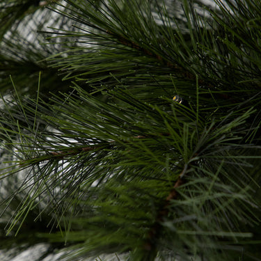House Doctor - Juletræ med LED, Peuce, Natur, H150 cm