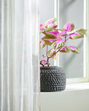 Nordal - AOBA krukke, M, cement – grå – Ø19 × H13 cm
