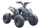MCU-Sport - EL ATV, 800W, 48V Brushless – Kardantræk, Hydrauliske bremser,