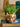 Abner Urtepotteskjuler fra Creative Collection