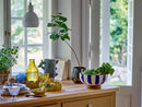 Theon Karaffel & Glas fra Creative Collection