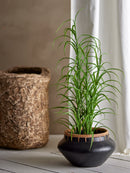 Bloomingville - Grass Plante, Grøn, Kunstige Blomster - H92 cm, pot Ø12 × H11 cm