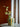 Rahima Vase fra Creative Collection