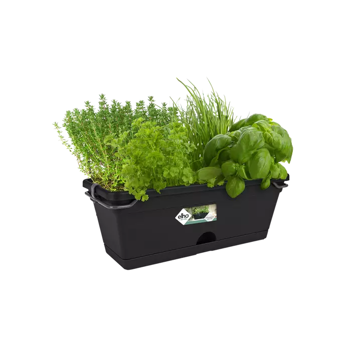 Elho - Green Basisc altankasse Mini All in 1 - 30 cm - Living black