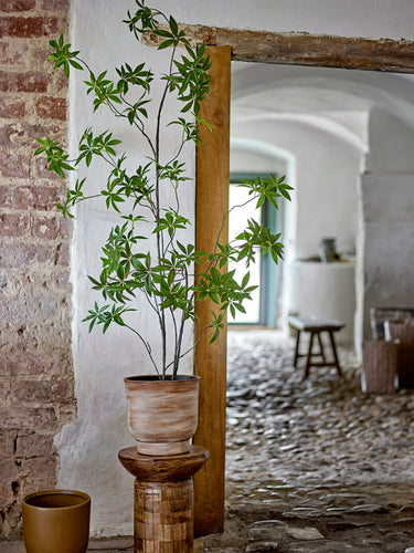 Bloomingville - Palmatum Plante, Grøn, Kunstige Blomster - H160 cm, pot Ø17x15 cm
