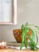 Rokaya Urtepotteskjuler fra Creative Collection
