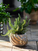 Bloomingville - Corelia Urtepotteskjuler, Brun, Stentøj - L22 × H12 × B17,5 cm