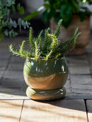 Bloomingville - Imke Urtepotte m/underskål, Grøn, Stentøj - Ø18,5 × H17,5 cm