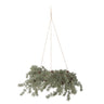 Bloomingville - Cedar Krans, Grøn, Kunstige Blomster - Ø70 × H30 cm, snor L70 cm