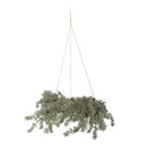 Bloomingville - Cedar Krans, Grøn, Kunstige Blomster - Ø70 × H30 cm, snor L70 cm