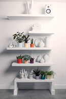 Elho - Urtepottesæt, Koral rød, sæt af 3 stk.