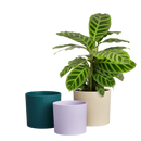 Elho - Urtepottesæt, Velvet cream, sæt af 3 stk.