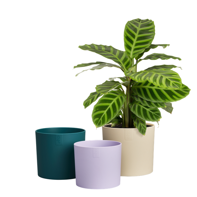 Elho - Urtepottesæt, Velvet cream, sæt af 3 stk.