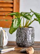 Nikou Deko Urtepotte fra Creative Collection