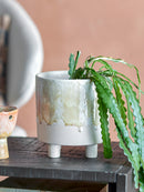 Imoa Urtepotteskjuler fra Creative Collection