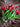 Bloomingville - Tulip Buket, Rød, Kunstige Blomster - Ø21 × H35 cm