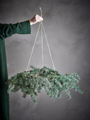 Bloomingville - Cedar Krans, Grøn, Kunstige Blomster - Ø70 × H30 cm, snor L70 cm