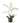 Bloomingville - Orchid Plante, Hvid, Kunstige Blomster - H84 cm, pot Ø16 × H13 cm