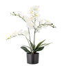 Bloomingville - Orchid Plante, Hvid, Kunstige Blomster - H84 cm, pot Ø16 × H13 cm