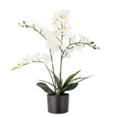 Bloomingville - Orchid Plante, Hvid, Kunstige Blomster - H84 cm, pot Ø16 × H13 cm
