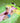 Vand Glidebane "Friendly Frog" – 488 cm