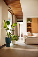 Elho - Vibes Coupe Urtepotte, Deep blue, flere str.