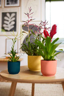 Elho - Vibes Fold Round, Mini, Deep blue Ø11cm