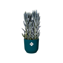 Elho - Vibes Fold Round, Deep blue, flere str.