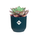 Elho - Vibes Fold Round, Mini, Deep blue Ø11cm