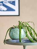 Bloomingville - Pennie Urtepotteskjuler, Grøn, Stentøj - L16,5 × H11 × B13 cm