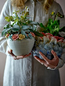 Eanna Urtepotteskjuler fra Creative Collection