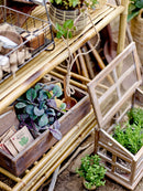 Bloomingville - Marti Displaykasse, Brun, Fyrretræ H33 cm