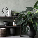 House Doctor - Urtepotte, Vig, Grå, sæt af 2 stk.