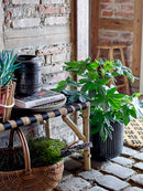 Bloomingville - Vida Daybed, Sort, Bambus L190 cm